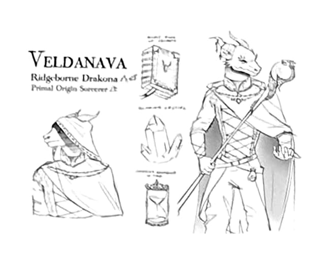 Character sheet commission example — Veldanava